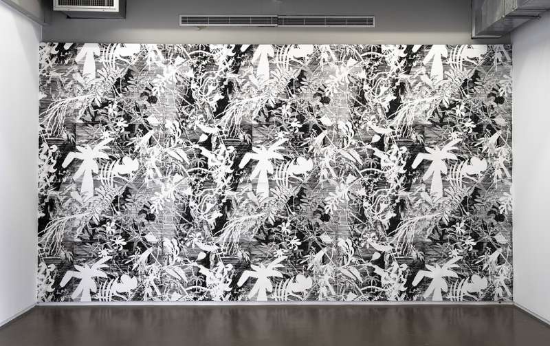 Paul de Toytot, Mauvaise Herbe, estampes à la pointe sèche épinglées au mur, 540 x 290cm, 2020