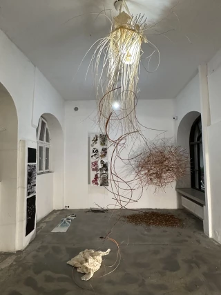 Atelier Erasmus Biomimesis in art and design of East and West