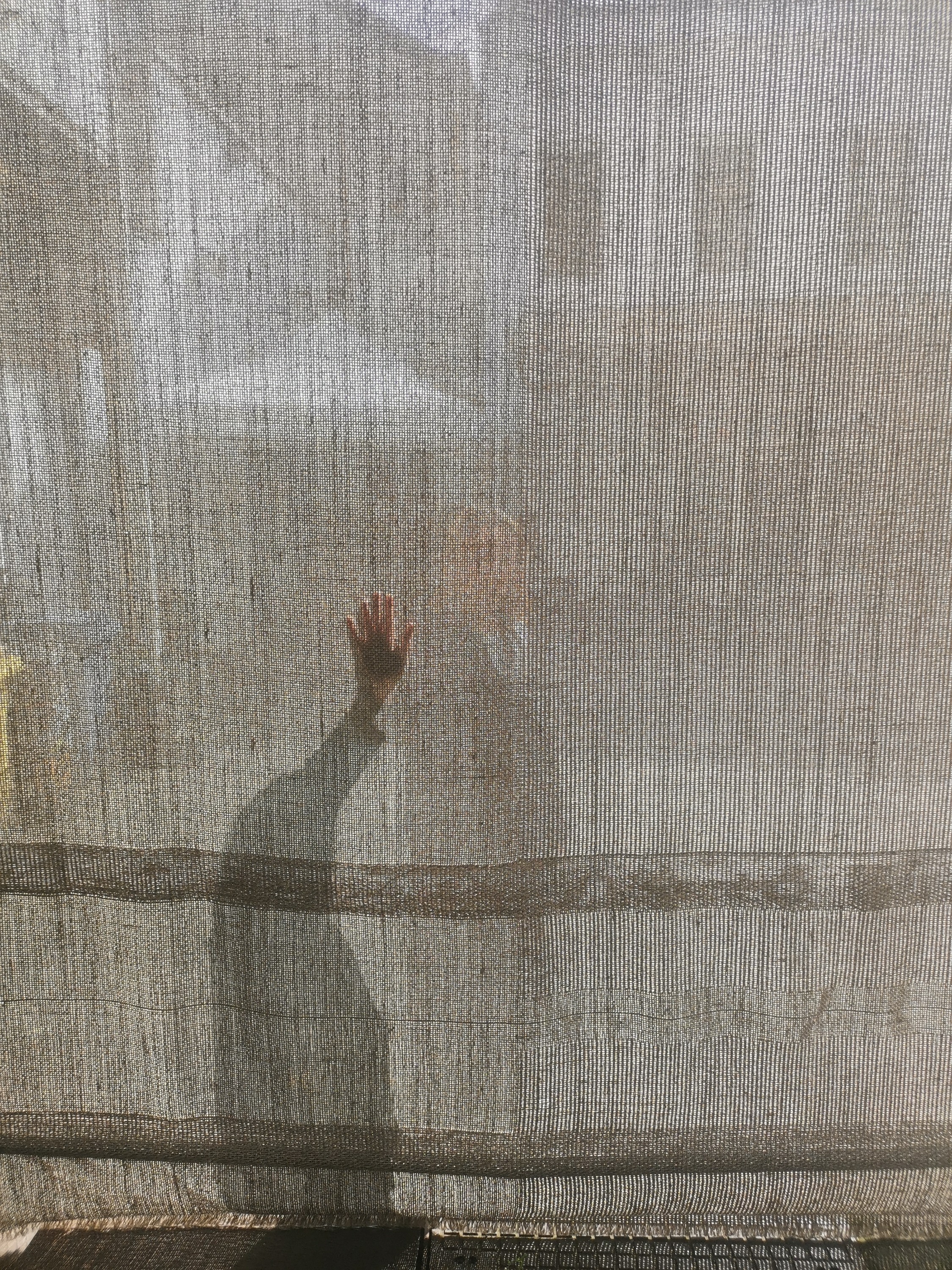 008 024 Sheryl.Blauvac