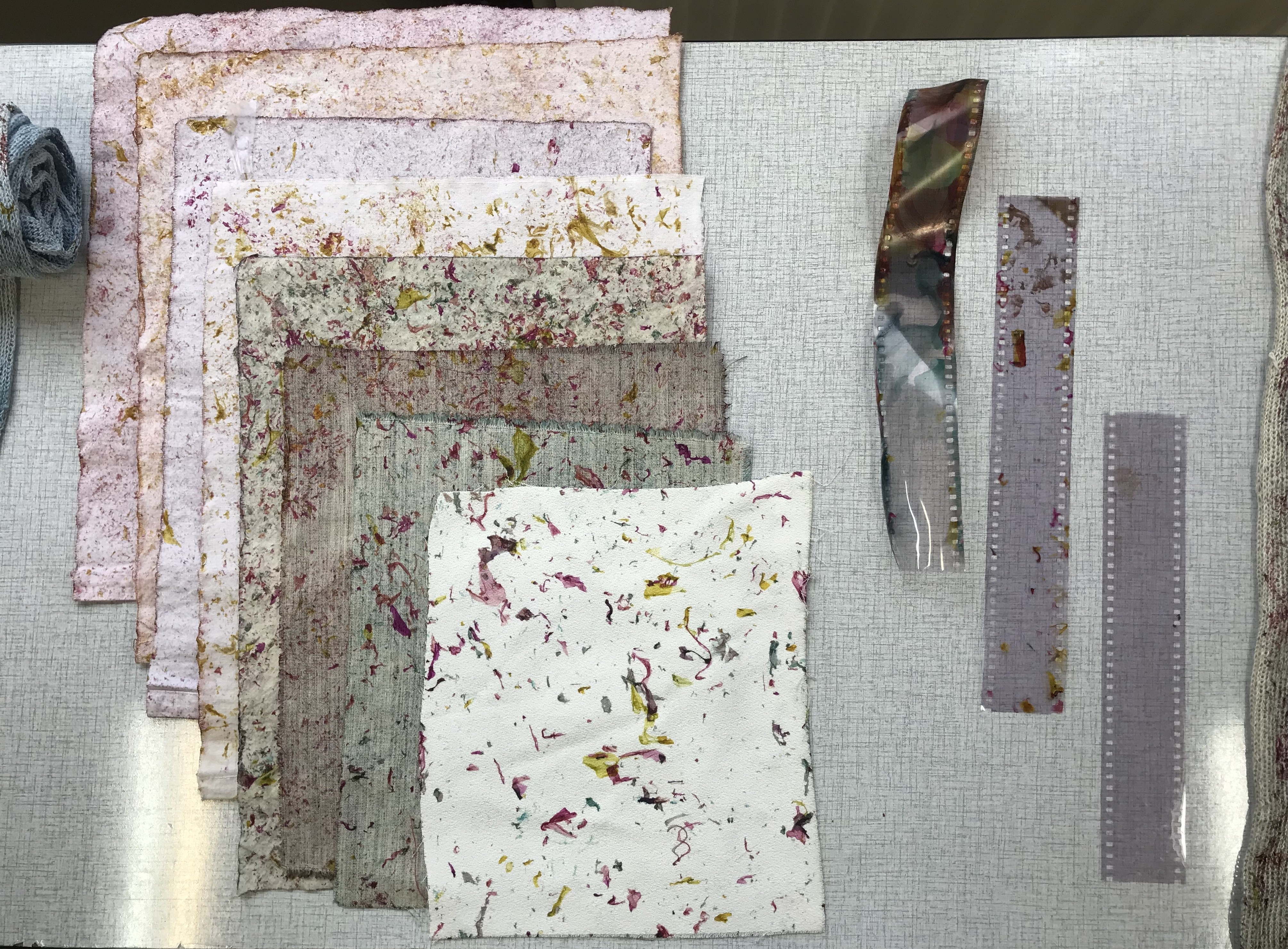 025 Bac1 Coline Dubois Travail avec pellicules photo