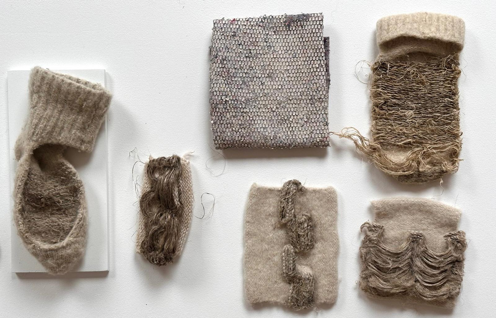 Filière Chanvre – Zoe Echivard