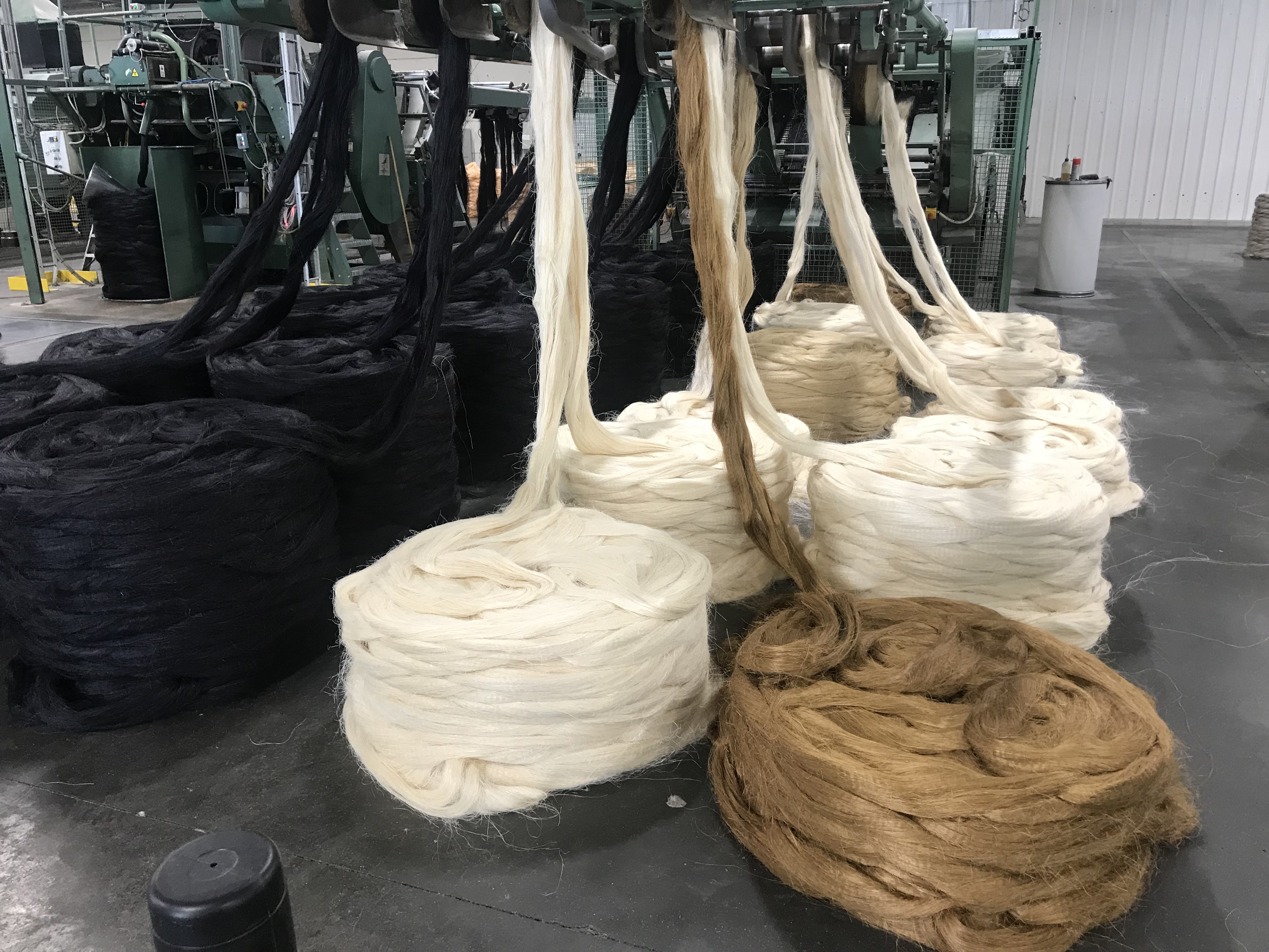 Visite d'une filature de sisal