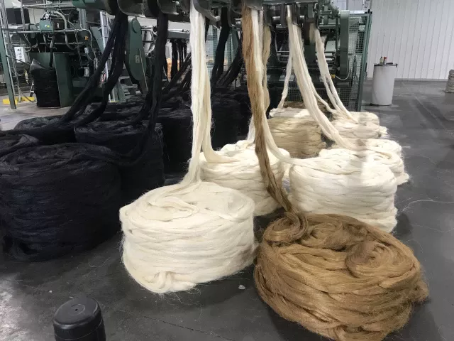Visite d'une filature de sisal