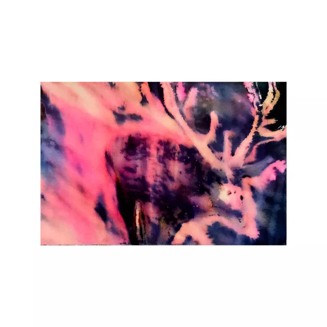 1710945819-kloe-baumgertener-m1-cerf-2023-2024-format-148x21cm-encre-sur-papier.jpg