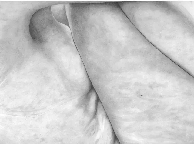 1710945839-ce-qu-on-ne-percoit-que-dans-l-intime-2022-graphite-pencil-on-185g-arches-paper-594-x-42-cm-1.png